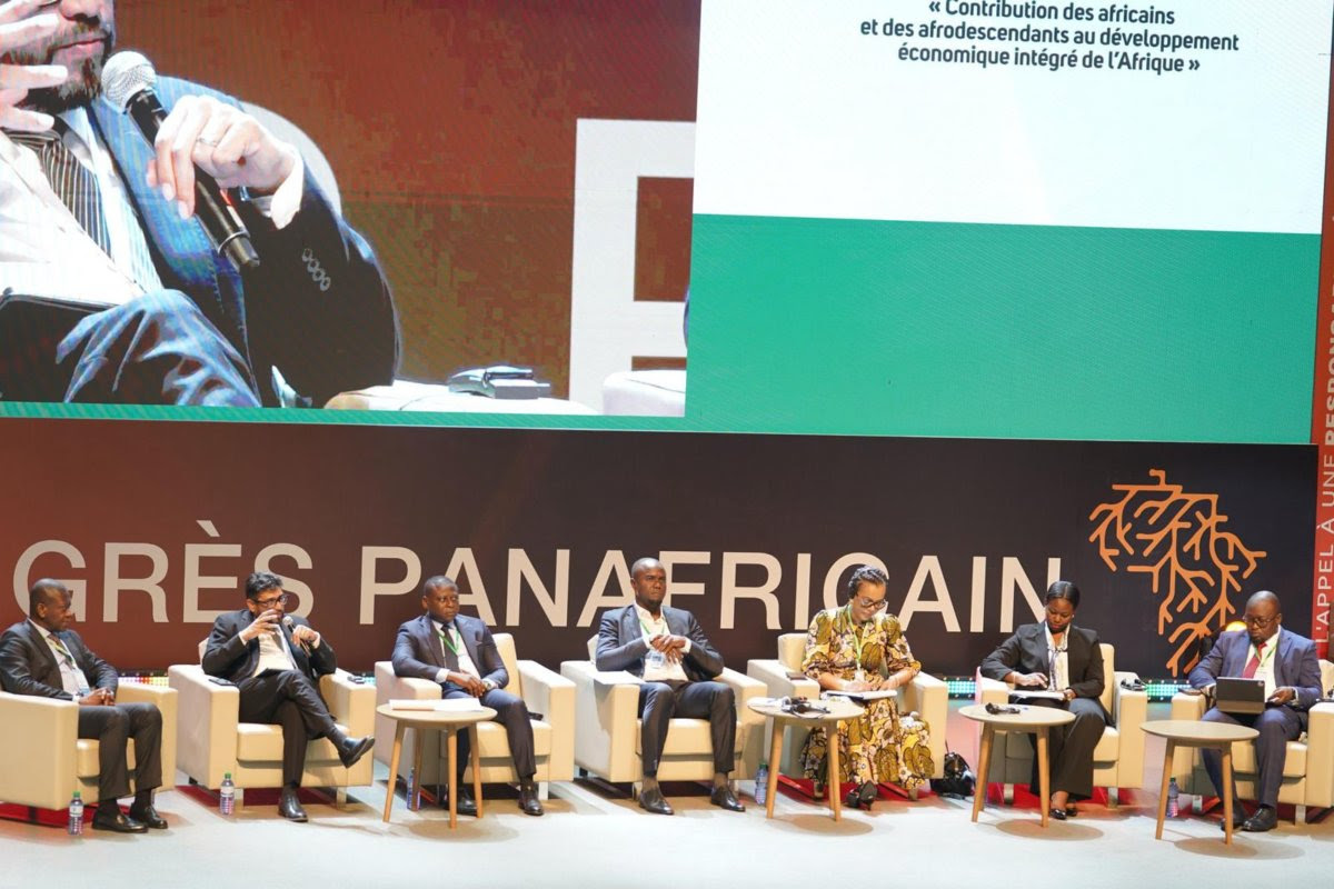 Africans & People of African Descent: Building integrated development together